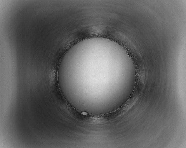 X0000102410660200808081325