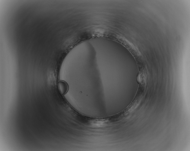 X0000102410661200808081325