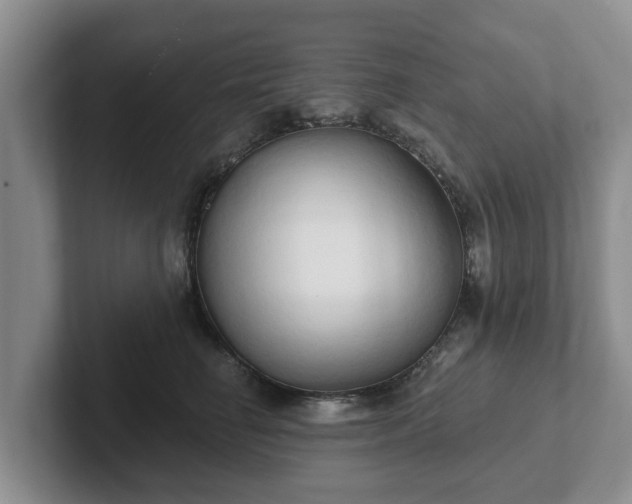 X0000102410662200808081325