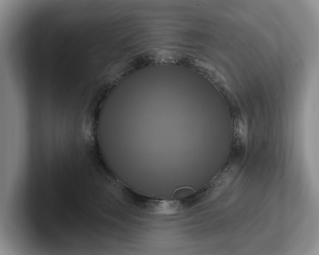 X0000102410663200808081325