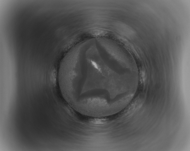 X0000102410664200808081325