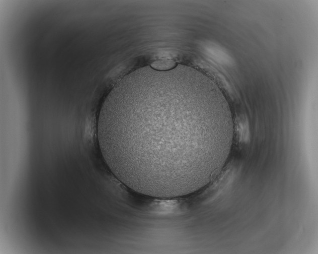 X0000102410665200808081325