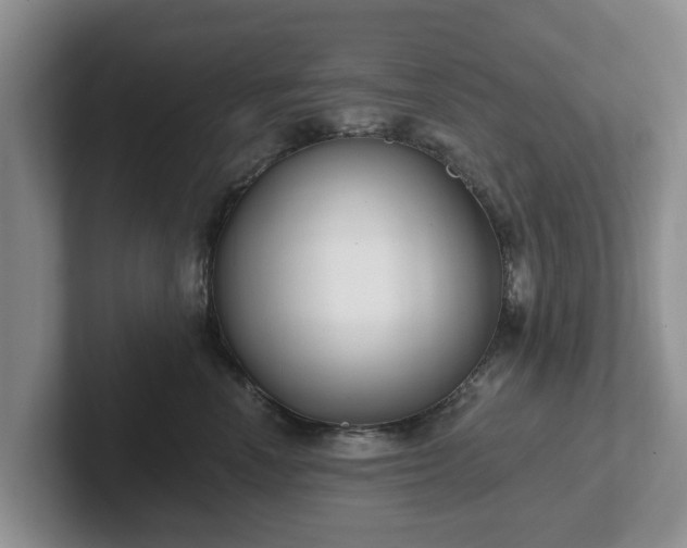 X0000102410666200808081325