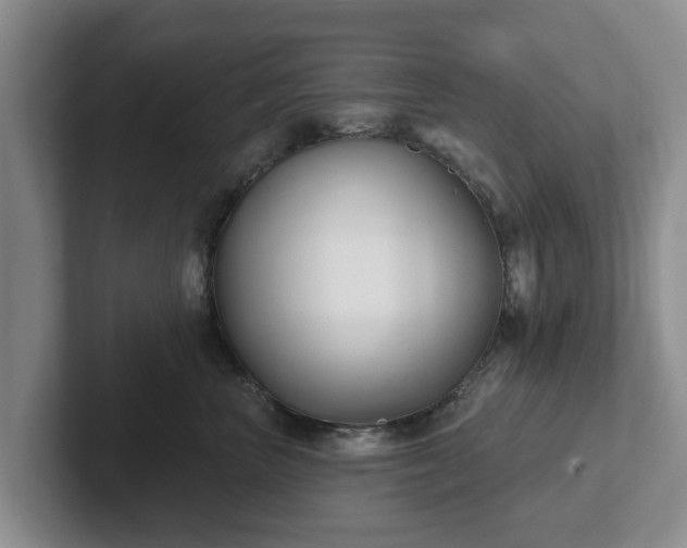 X0000102410667200808081325