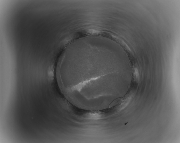 X0000102410668200808081325