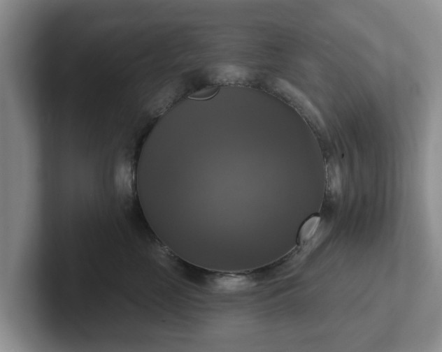 X0000102410669200808081325