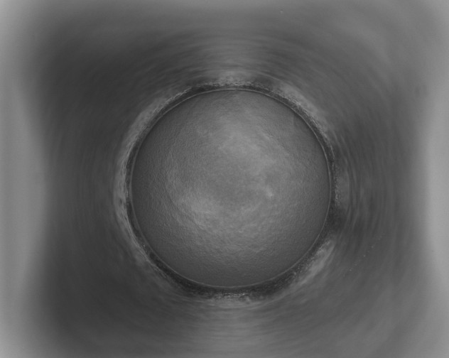 X0000102410673200808081325