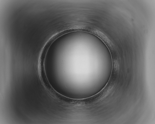 X0000102410676200808081325