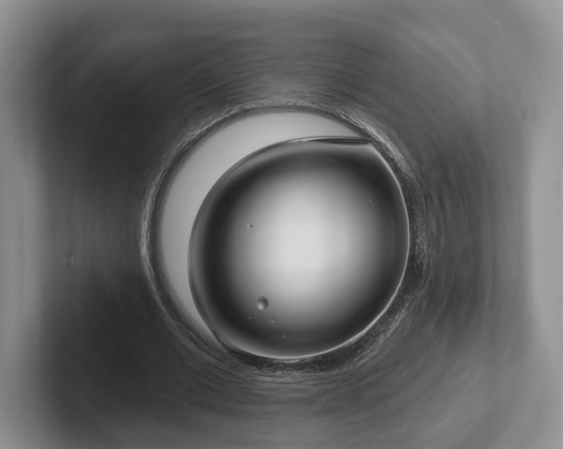 X0000102410677200808081325