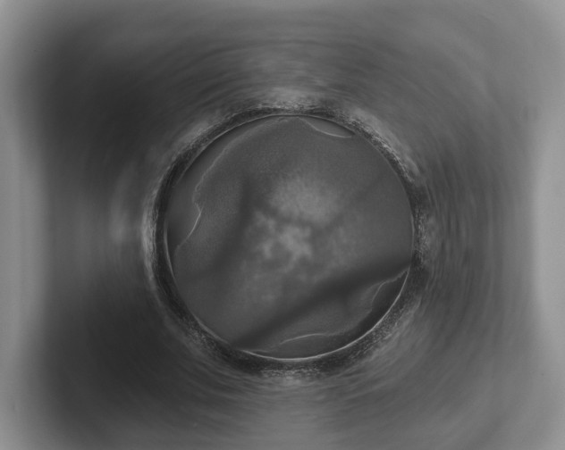 X0000102410679200808081325