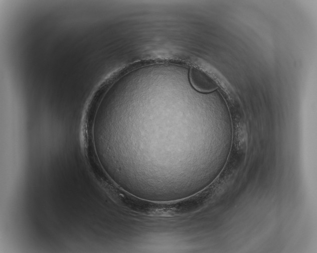 X0000102410680200808081325