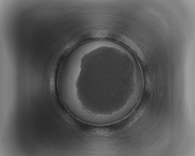 X0000102410681200808081325