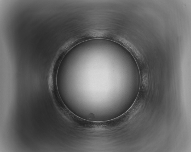 X0000102410682200808081325