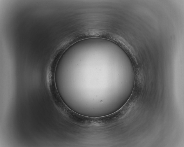 X0000102410683200808081325