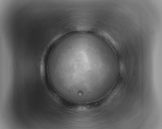 X0000102410684200808081325