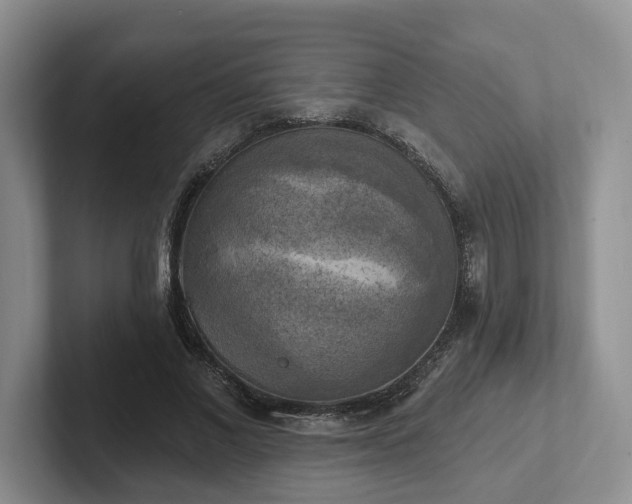 X0000102410685200808081325