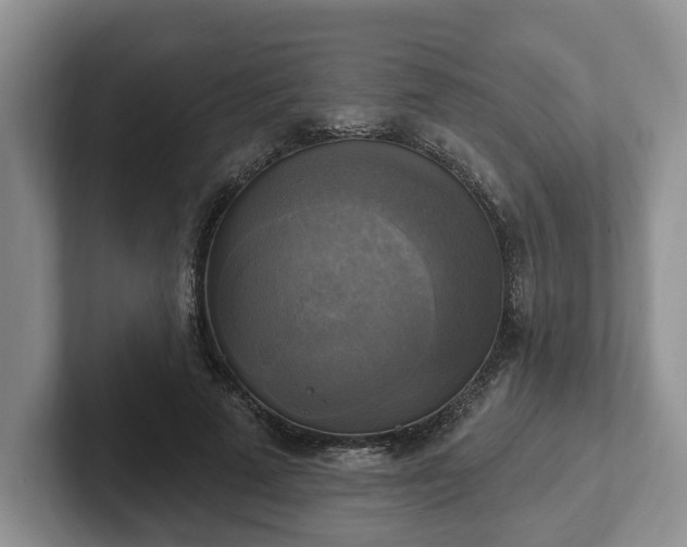 X0000102410689200808081325