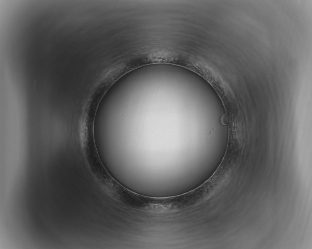 X0000102410690200808081325