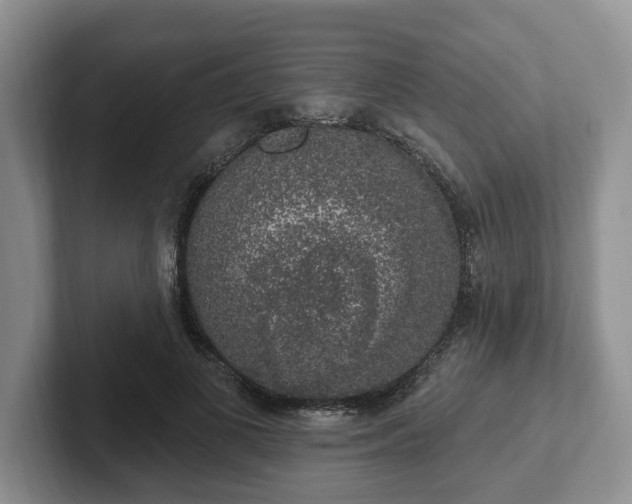 X0000102410693200808081325