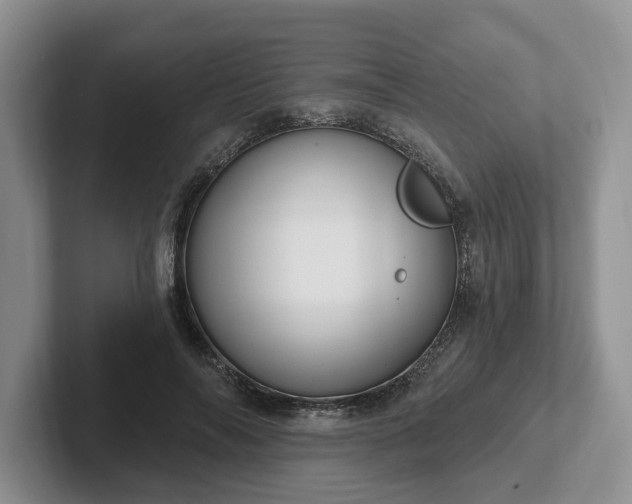 X0000102410694200808081325