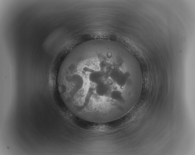 X0000102410695200808081325