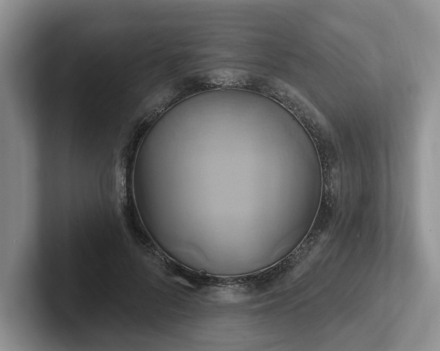 X0000102410696200808081325