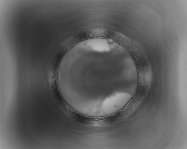 X0000102410701200808081324