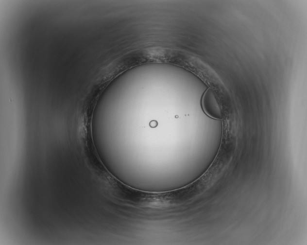 X0000102410702200808081324