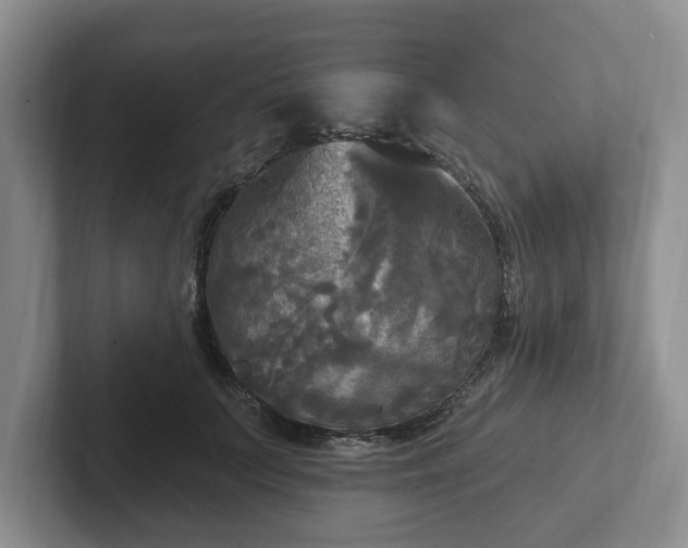 X0000102410703200808081324