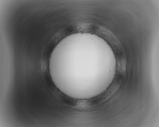 X0000102410705200808081324