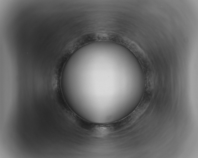 X0000102410706200808081324