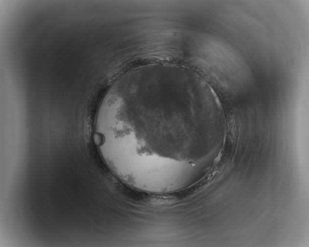 X0000102410707200808081324