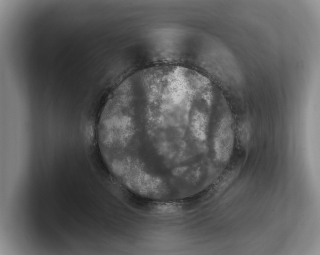 X0000102410709200808081324