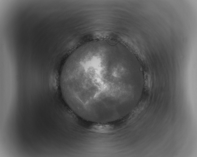 X0000102410712200808081324