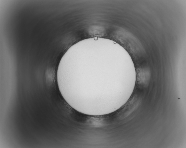 X0000102410713200808081324