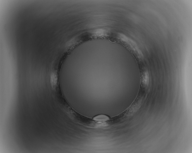 X0000102410715200808081324