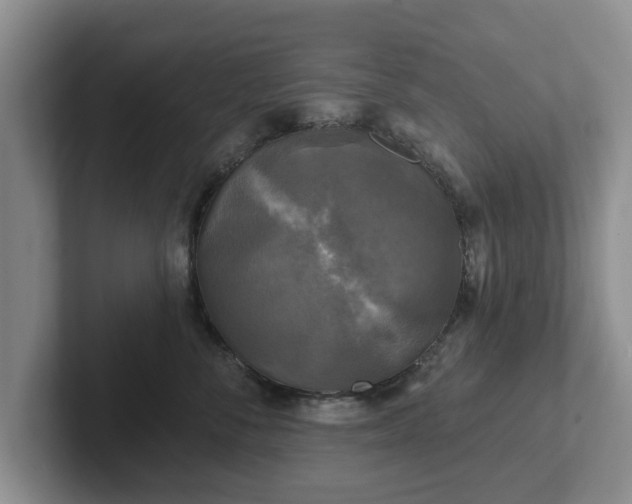 X0000102410716200808081324