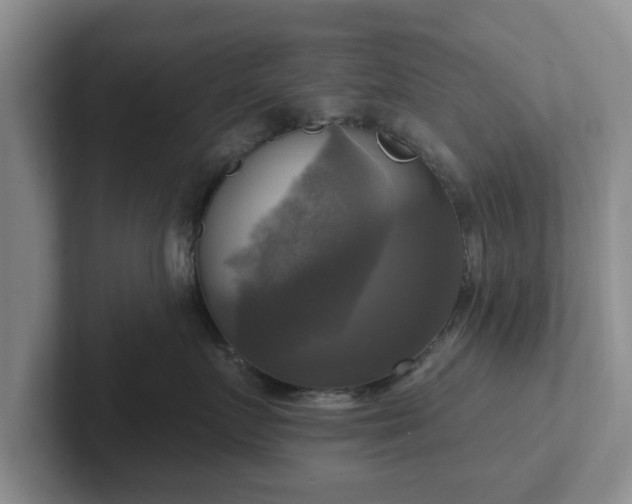 X0000102410719200808081324