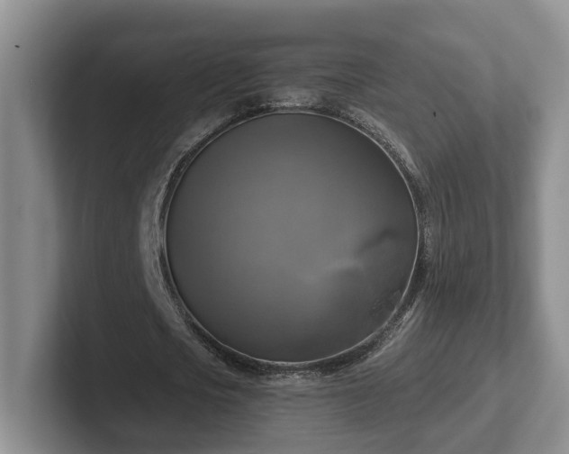 X0000102410721200808081324