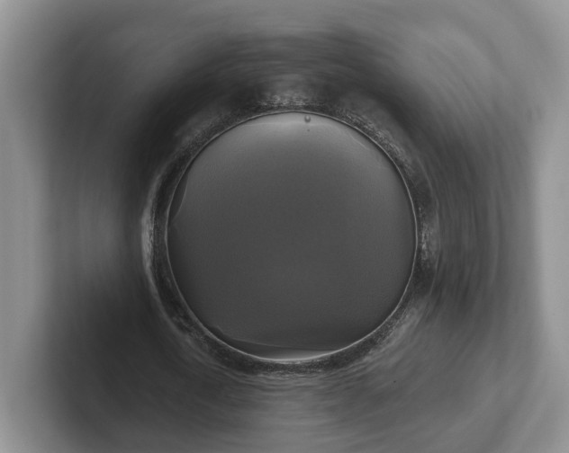 X0000102410722200808081324