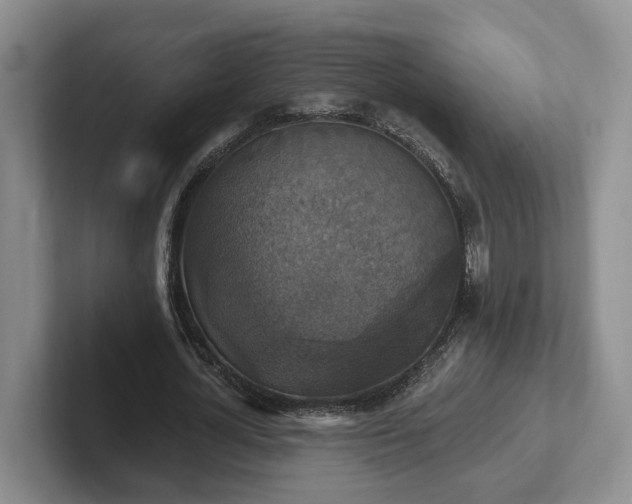 X0000102410724200808081324