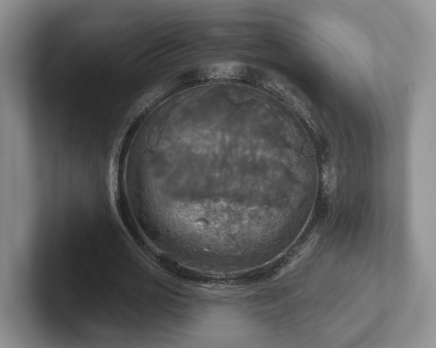 X0000102410725200808081324