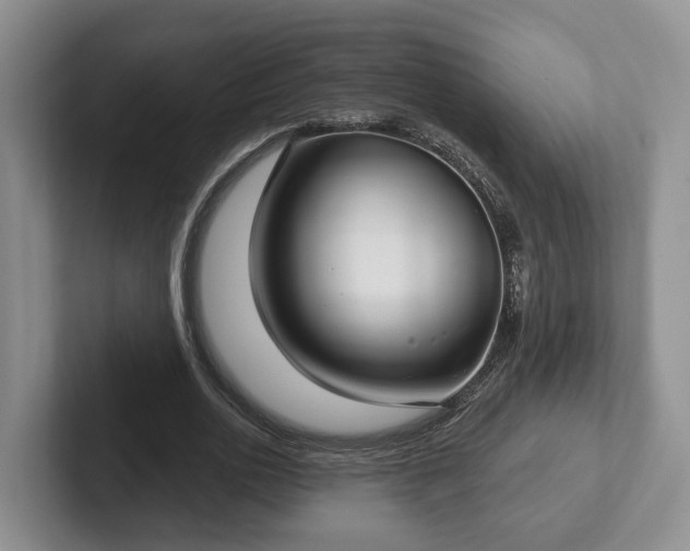 X0000102410726200808081324