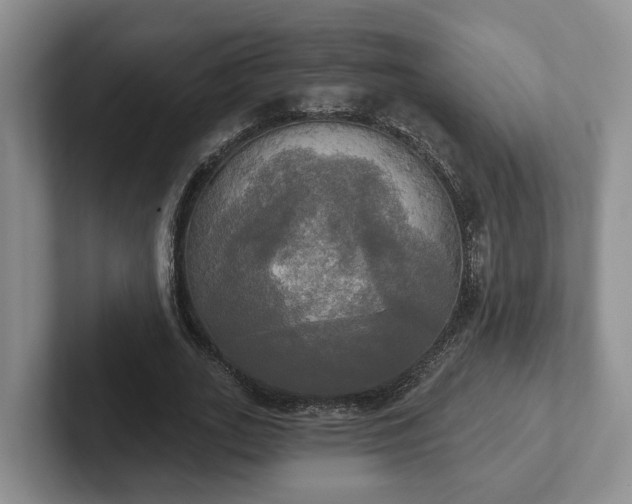 X0000102410727200808081324