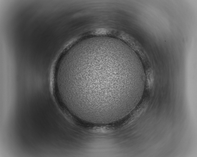 X0000102410728200808081324