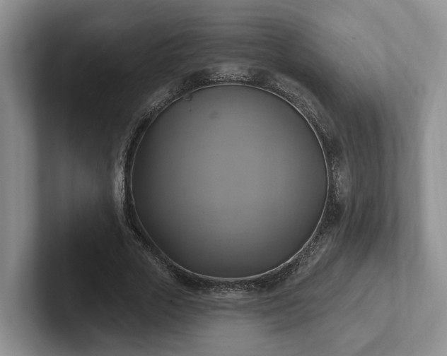 X0000102410729200808081324