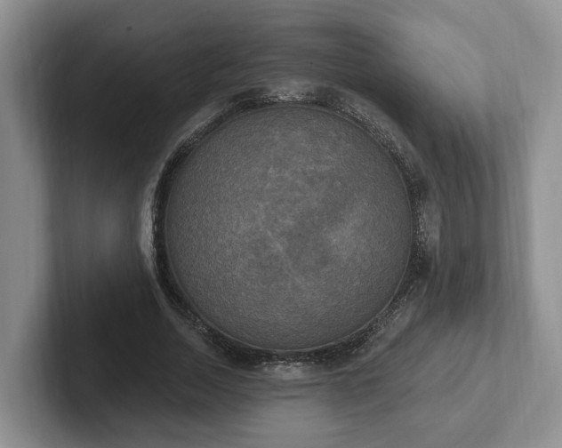 X0000102410730200808081324