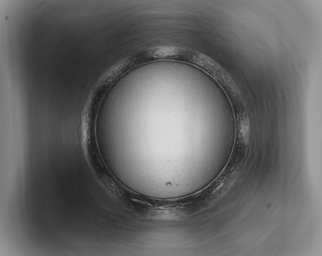 X0000102410732200808081324