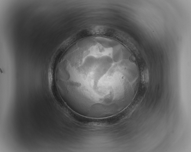 X0000102410733200808081324