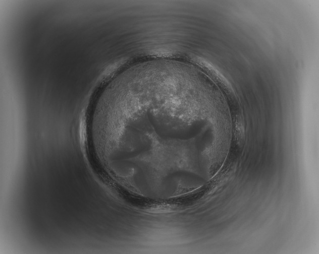 X0000102410734200808081324